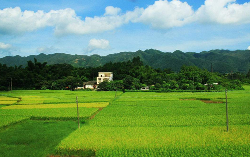 尝试田风采