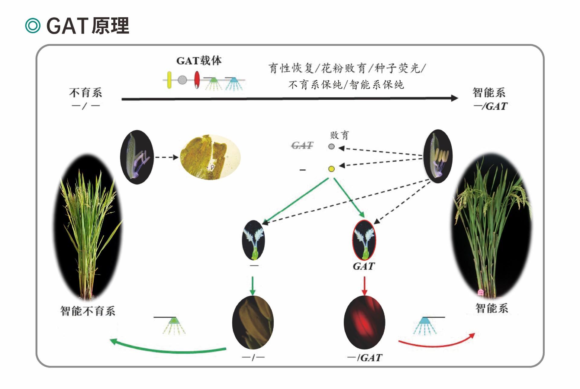 技术道理图片.jpg